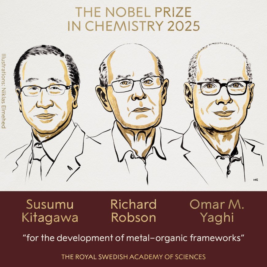 A Triumph for Innovation: 2025 Nobel Prize in Chemistry Honors MOF Pioneers